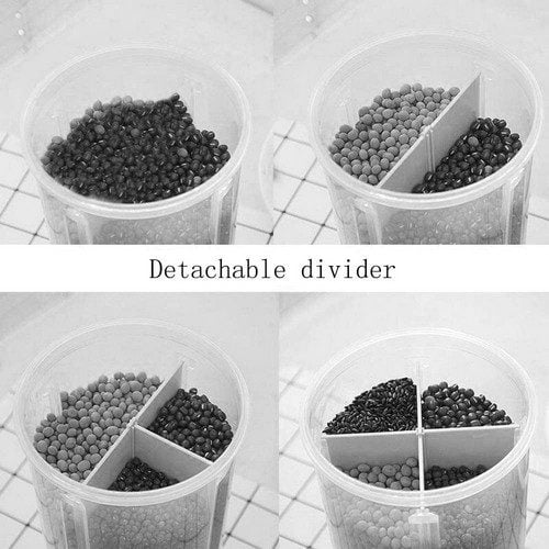 4 In 1 Partition Jar