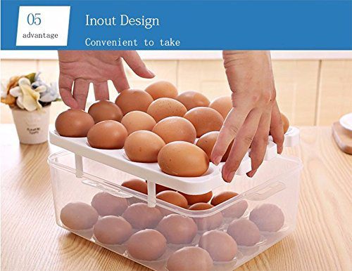 Double Layer Egg Box 32 Grid